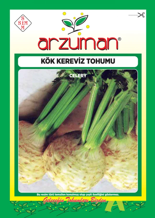 KÖK KEREVİZ TOHUMU 10 GR ORT 2000 AD TOHUM ürün görseli 1