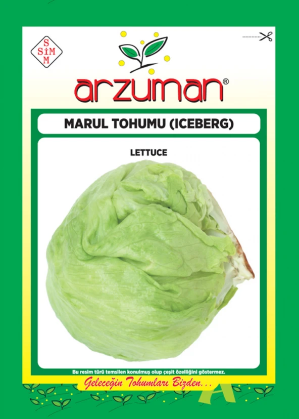 İCEBERG MARUL TOHUMU 5 GR ORT 3750 AD TOHUM ürün görseli 1