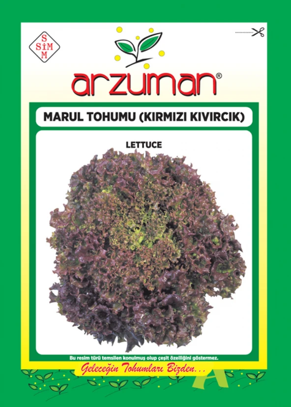 KIRMIZI KIVIRCIK MARUL TOHUMU 5 GR ORT 3750 AD TOHUM ürün görseli 1