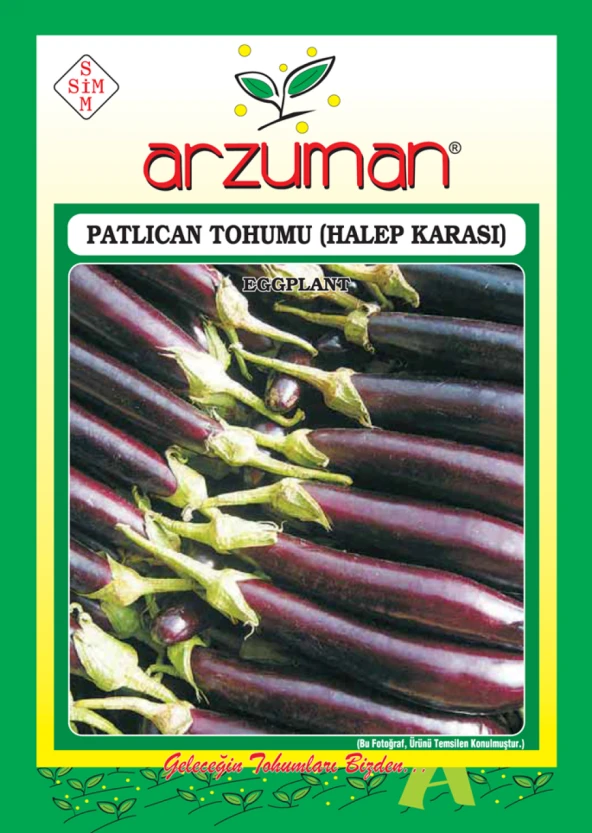 HALEP KARASI PATLICAN TOHUMU 10 GR ORT 2000 AD TOHUM ürün görseli 1