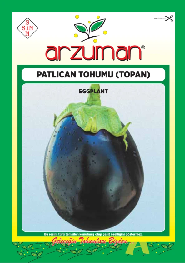 TOPAN PATLICAN TOHUMU 10 GR ORT 2000 AD TOHUM ürün görseli 1