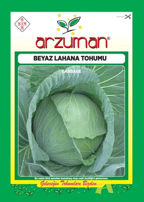 YALOVA-1 BEYAZ LAHANA TOHUMU 10 GR ORT 2000 AD TOHUM ürün görseli 1