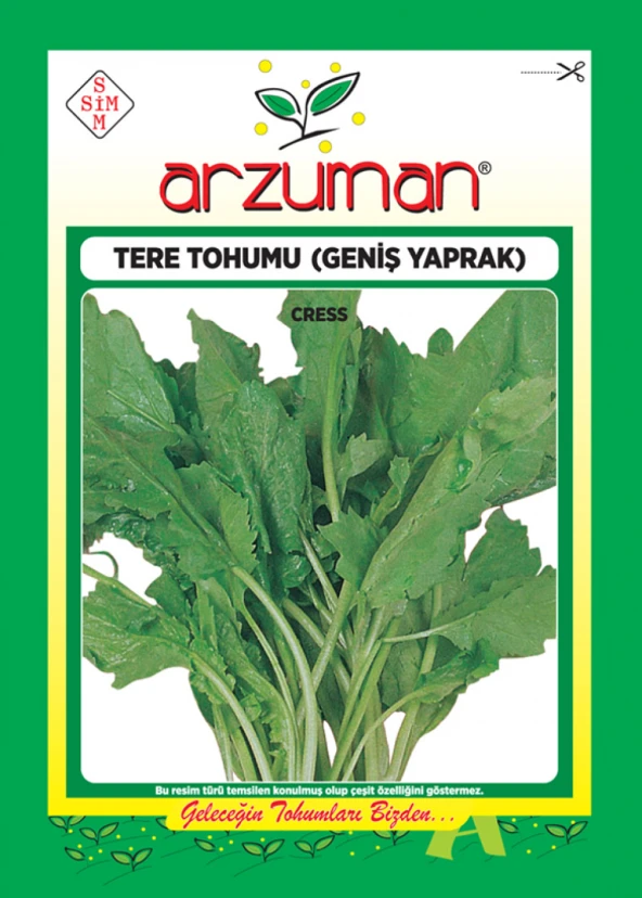 GENİŞ YAPRAK TERE TOHUMU 25 GR 7500 AD TOHUM ürün görseli 1