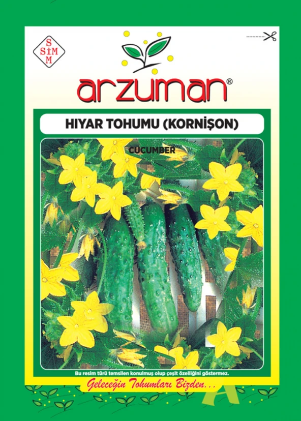 KORNİŞON SALATALIK TOHUMU 100 AD TOHUM ürün görseli 1