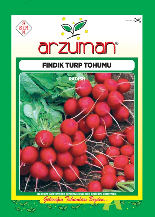 FINDIK TURP TOHUMU 10 GR 0RT 900 AD TOHUM ürün görseli 1