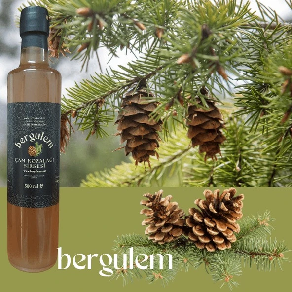 Neşe Natural Bergulem Çam Kozalağı Sirkesi 500 ml ürün görseli 1