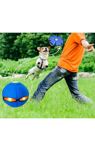 16 cm Işıklı Zıplayan Frizbi Köpek Oyun Topu Diskten Topa Dönüşen Uçan Disk Plaj Bahçe Oyuncağı Top ürün görseli 1