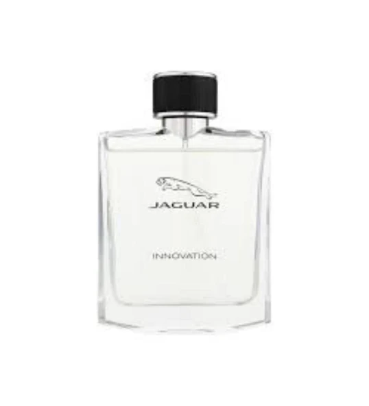 Jaguar Innovatıon Edt 100 ml Erkek Parfüm ürün görseli 1