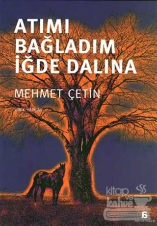 Atımı Bağladım İğde Dalına ürün görseli 1