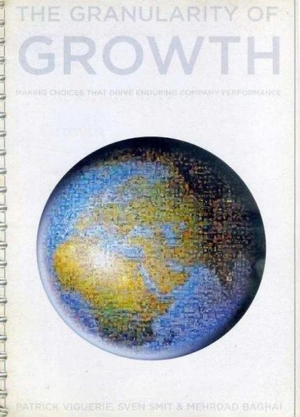 The Granularity of Growth (Fotokopi Kitap) ürün görseli 1