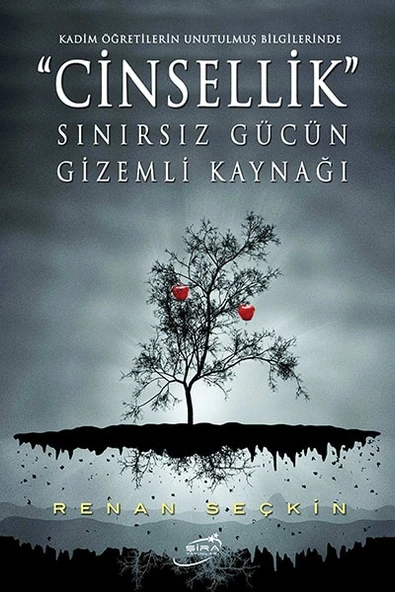 Cinsellik Sınırsız Gücün Gizemli Kaynağı ürün görseli 1