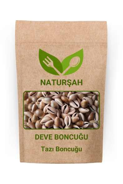 Naturşah Deve Boncuğu 500 Gr ürün görseli 1