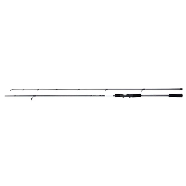 Shimano Bassterra Xt Sea Bass Spin 2,44M 5-28G 2Pc Spin Olta Kamışı ürün görseli 1