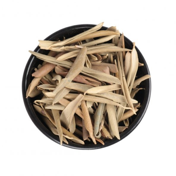 Zeytin Yaprağı 100 GR ürün görseli 1