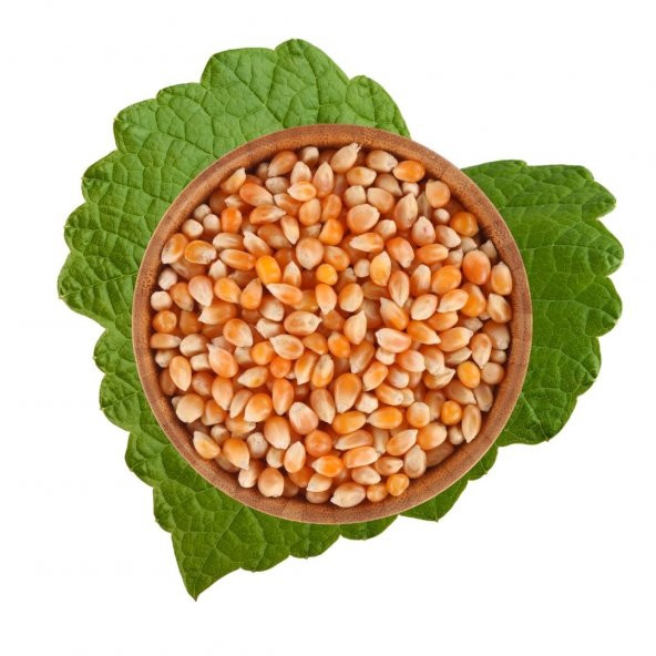 Patlatmalık Mısır 500 g ürün görseli 1