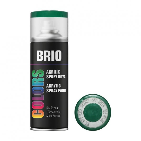 Brio Sprey Boya Akrilik Yosun Yeşili B6005 400 Ml ürün görseli 1
