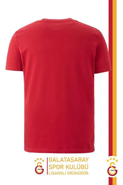 Galatasaray Orijinal Lisanslı Arma T-Shirt - Resim 7