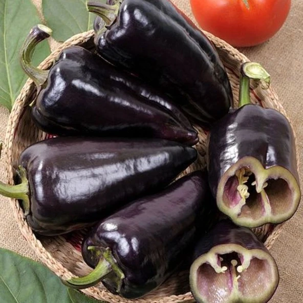 Ata Tohumları Geleneksel Black Knight Siyah Kapya Tatlı Biber Tohumu (15 adet) ürün görseli 1