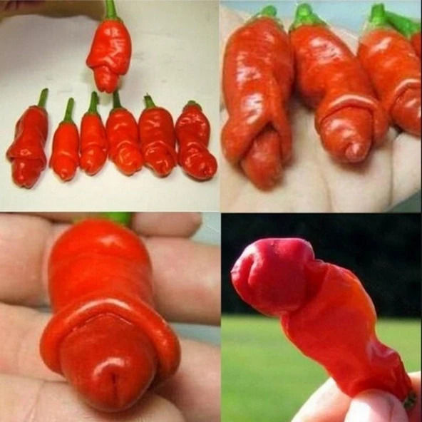 Gerçek Doğal Peter's Pepper(Biber) Tohumu(4 Tohum) ürün görseli 1