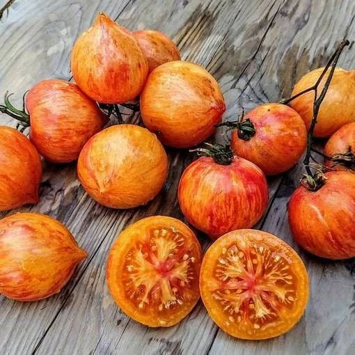 Kozula 133 Kalp Şeklinde Etli Domates Tohumu (15 tohum) ürün görseli 1