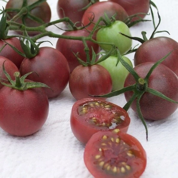 Çikolata Cherry Domates Tohumu (15 tohum) ürün görseli 1
