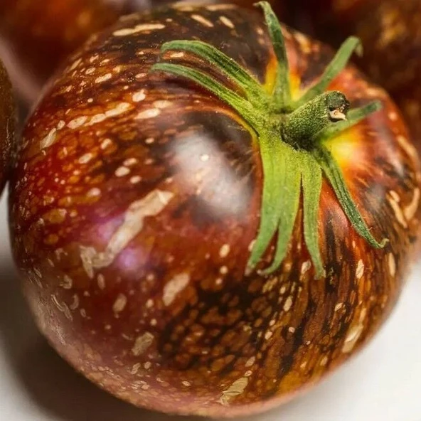 Dark Galaxy Domates Tohumu (15 tohum) ürün görseli 1