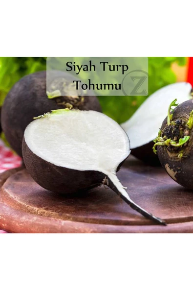 Siyah Turp Tohumu 1 Paket (10gr=1000+ Adet) Turp Tohumu Siyah ürün görseli 1