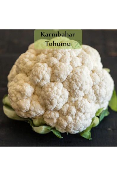 Karnıbahar Tohumu 1 Paket (3gr=1000+ Adet) Karnabahar Tohumu ürün görseli 1