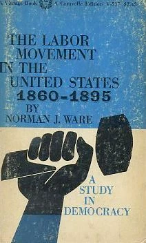 The Labor Movement In The United States 1860 1895 ürün görseli 1