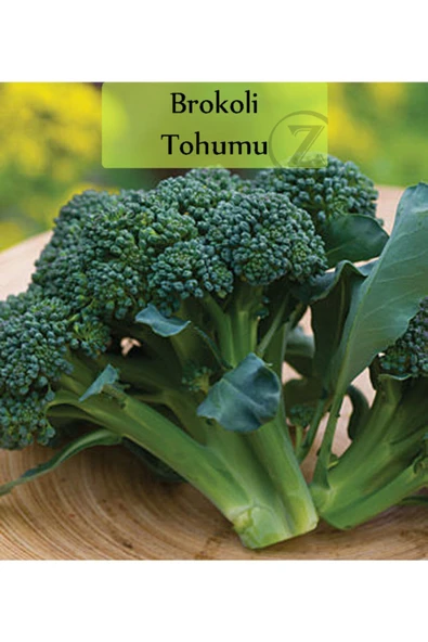 Brokoli Tohumu 1 Paket (1 Gr=250+ Adet) ürün görseli 1