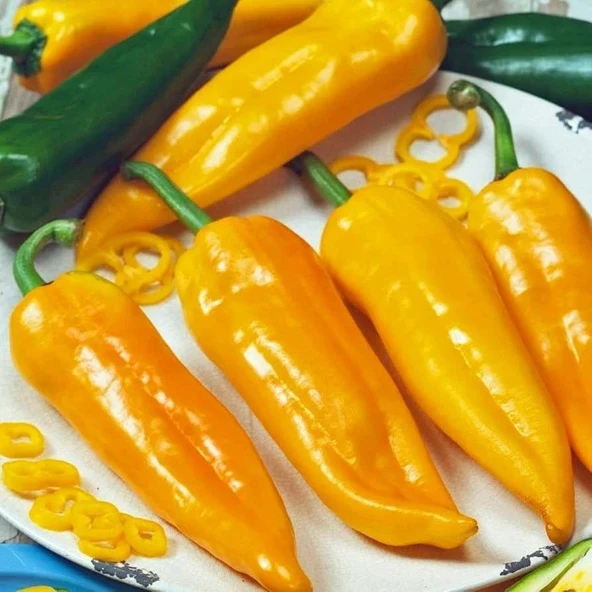 Nadir Ata Tohum Corno Di Toro Giallo Sarı İtalyan Kapya Biber Tohumu (10 tohum) ürün görseli 1