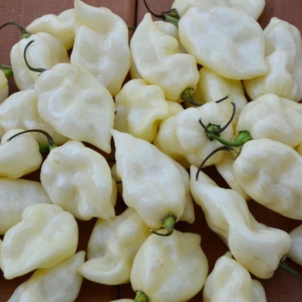 Fatali White Acı Biber Tohumu (15 Tohum) ürün görseli 1