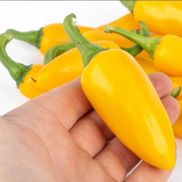 Jalepeno Yellow Çok Acı Biber Tohumu (15 Tohum) ürün görseli 1