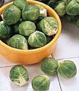 Ata Tohum Doğal Long Island Improved Brüksel Lahanası Tohumu(50 tohum) ürün görseli 1