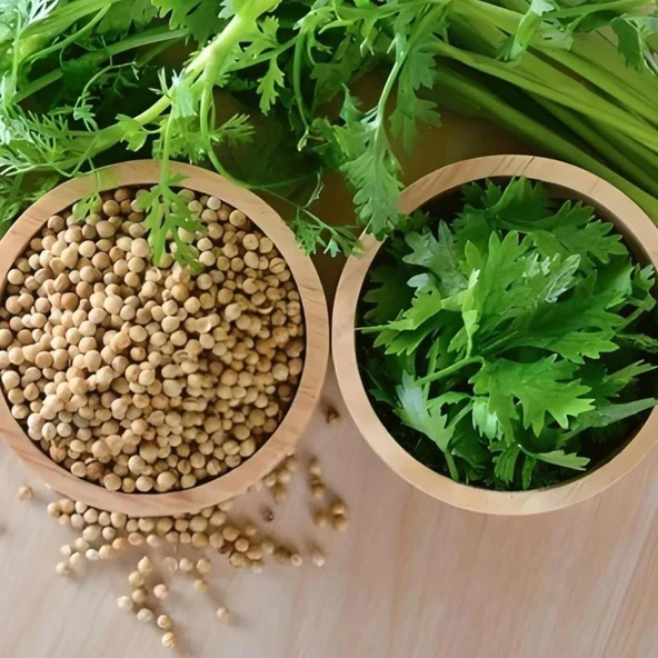 iş Yaprak Doğal Aşotu Kişniş Tohumu (1 kg) ürün görseli 1