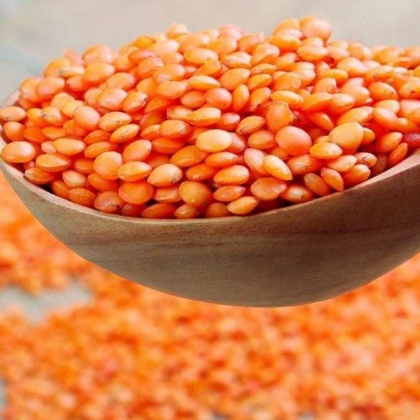 Ata Tohum Geleneksel Kırmızı Mercimek Tohumu (20 Tohum ürün görseli 1