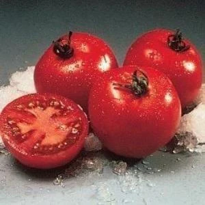 Doğal Floridade Domates Tohumu(20 tohum) ürün görseli 1