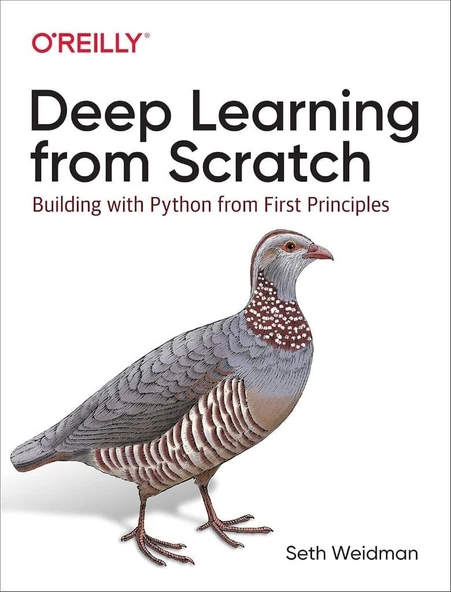 Deep Learning from Scratch: Building with Python from First Principle Seth Weidman ürün görseli 1