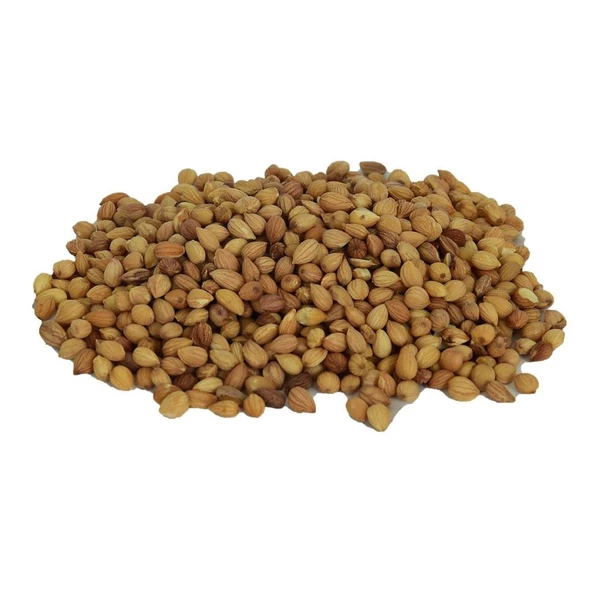 Doğal Tane Mahlep Kokulu Taneli Prunus Mahaleb 100GR ürün görseli 1