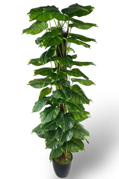 Nettenevime Yapay Çiçek Pothos Salon Sarmaşığı Tropik Salon Bitkisi Yapay Ağaç 165cm ürün görseli 1