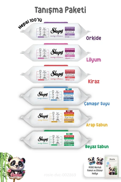 Sleepy Mega Tanışma Paketi 100'Lü Yüzey Temizlik Havluları ürün görseli 1