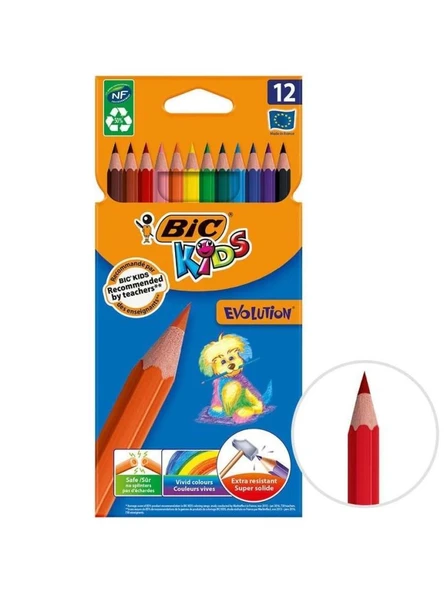 BIC KURUBOYA KALEMI SILINEBILIR 12 RENK(987868) ürün görseli 1