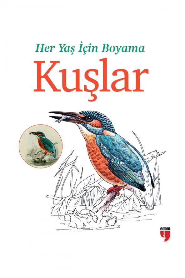 HER YAŞ İÇİN BOYAMA KUŞLAR ürün görseli 1