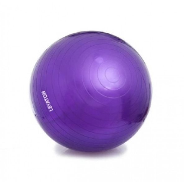 55cm Pilates Topu Pompa Hediyeli Asorti Fitness Pilates Spor ürün görseli 1