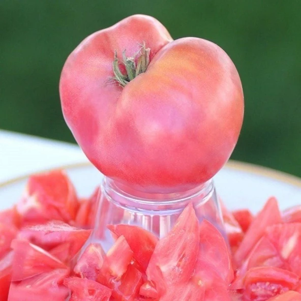 Etli Çok İri Meyveli Sevcan Sırık Pembe Domates Fidesi (5 adet) ürün görseli 1