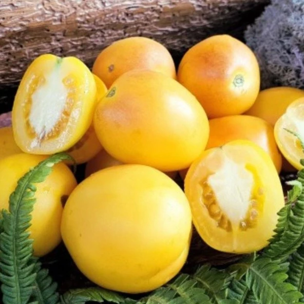 Geleneksel Ata Tohumları Red Spot Yellow Domates Tohumu (10 tohum) ürün görseli 1