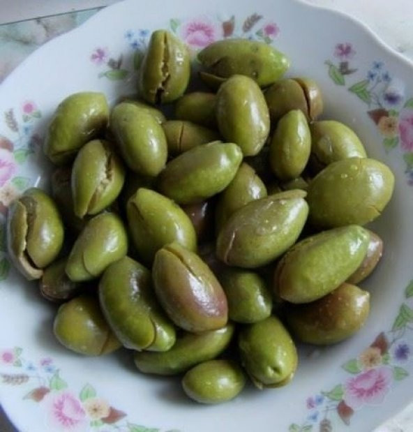Tüplü Aşılı İri Taneli Kırmalık Çekişte Zeytin Fidanı ürün görseli 1