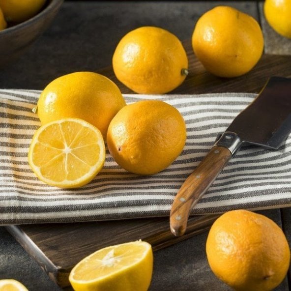 Tüplü  Bol Sulu Finike Kırmızı Limon Fidanı ürün görseli 1