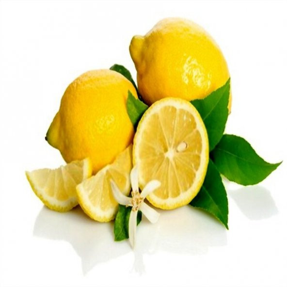 Tüplü Aşılı Lezzetli Enter Limon Fidanı ürün görseli 1