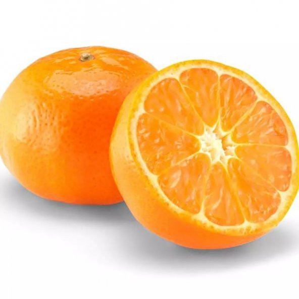 Tüplü Aşılı Erkenci Çeşit Early N Mandalina Fidanı ürün görseli 1